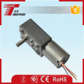 TWG3246-TEC2430 brushless dc worm gear motor 12v 24v